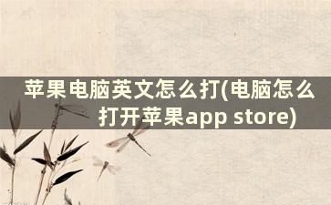 苹果电脑英文怎么打(电脑怎么打开苹果app store)